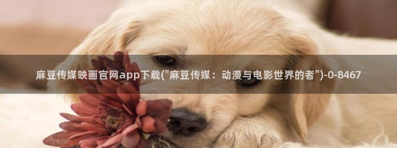 台湾麻豆传媒官网入口:麻豆传媒映画官网app下载(\